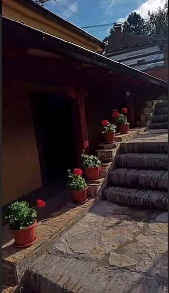 Apartmani Zapis Vrdnik Dış mekan fotoğraf