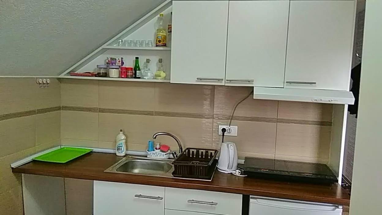 Apartmani Zapis Vrdnik Dış mekan fotoğraf